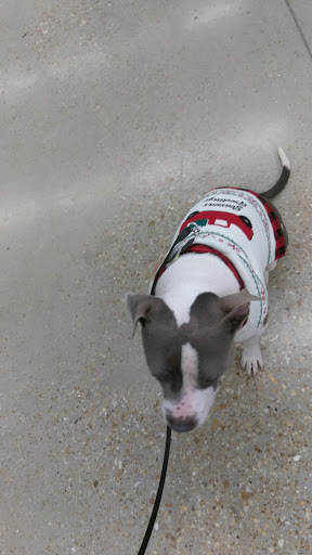 Pet Supply Store «Petco Animal Supplies», reviews and photos, 2358 S Range Ave, Denham Springs, LA 70726, USA