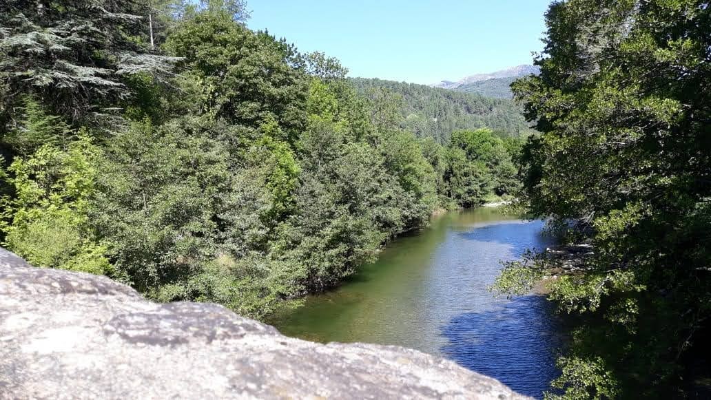 Photo n° 26 de l'avis de Julien.a fait le 15/10/2022 à 19:20