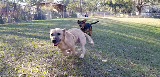 Park «Lutz Dog Park», reviews and photos, 122 1st Ave SW, Lutz, FL 33548, USA