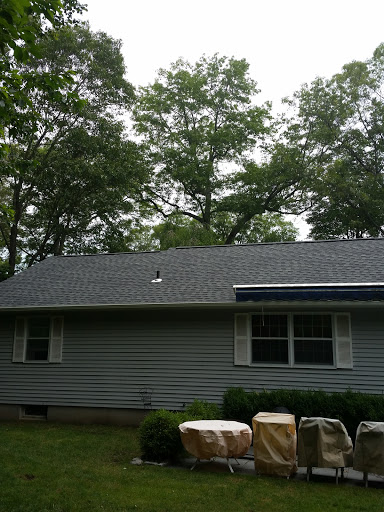 Supermarket «Big Y», reviews and photos, 141 Storrs Rd, Mansfield Center, CT 06250, USA