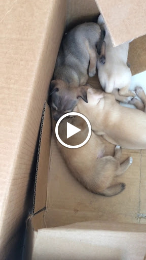 Department Store «Marshalls», reviews and photos, 1431 NY-300, Newburgh, NY 12550, USA