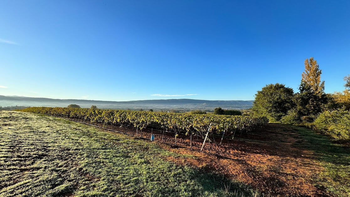 La Table du Domaine Perréal 84220 Roussillon