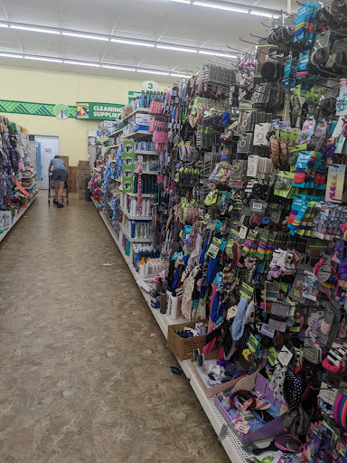 Dollar Store «Dollar Tree», reviews and photos, 100 Northeast Ave, North East, MD 21901, USA