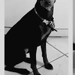 Photo n°1 de l'avis de Orietta.e fait le 27/01/2020 à 17:01 sur le  Tito Careggi à Florence