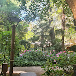 Photo n°1 de l'avis de Sabine.e fait le 11/06/2022 à 17:08 sur le  Laurin Bar à Bolzano