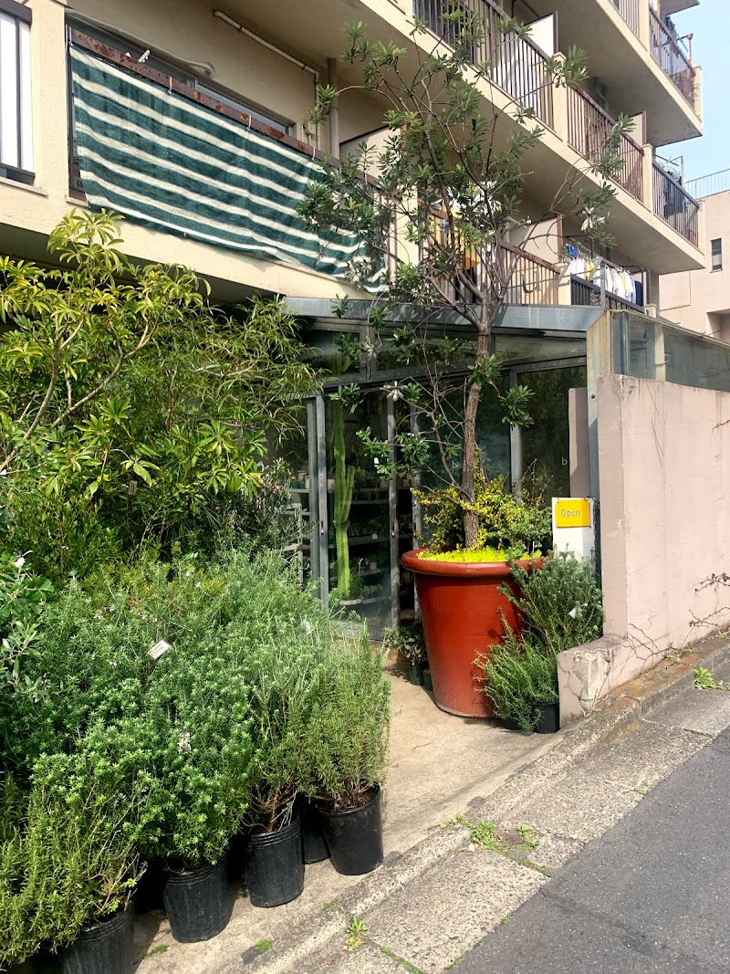 Buzz Green 東京都渋谷区恵比寿 店舗 グルコミ