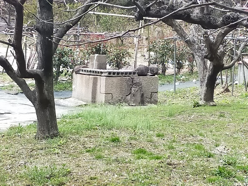 和田屋敷跡 鶴の井戸