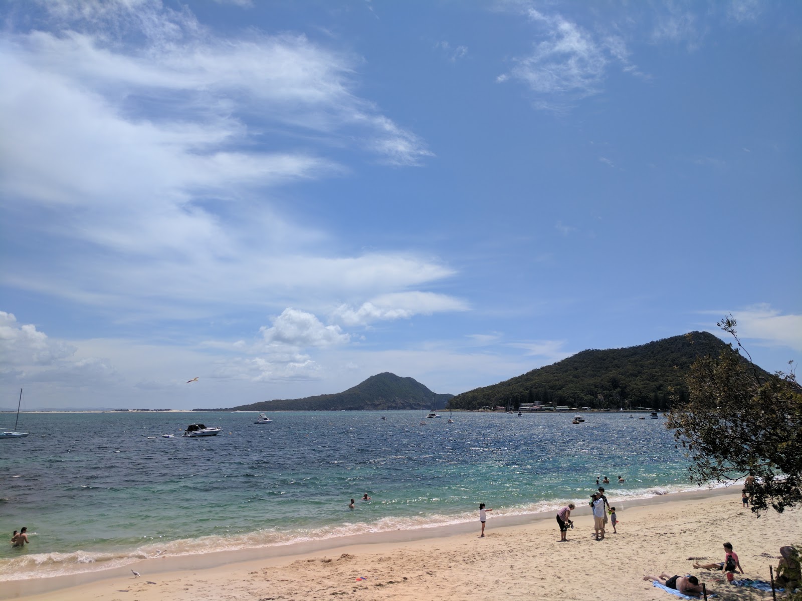 Nelson Bay Beach photo #8