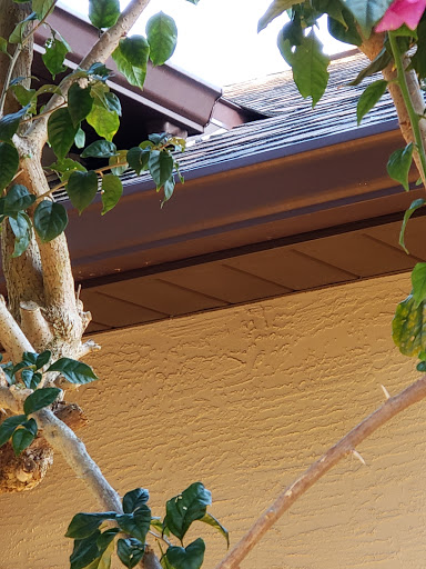 Roofing Contractor «Total Home Roofing and Construction», reviews and photos, 165 W State Rd 434, Winter Springs, FL 32708, USA