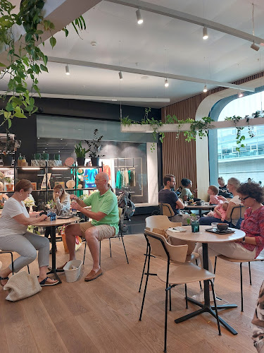 Coffee and Plants - Café