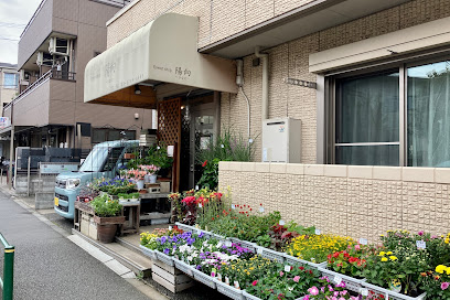 flower shop 陽向