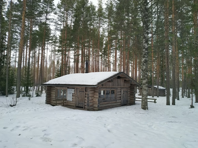 Ikaalinenn Saari-Soljanen pysäköintialue, Seitsemisen kansallispuiston arvostelut - Kuljetuspalvelu