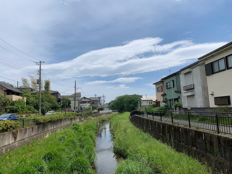 落馬橋