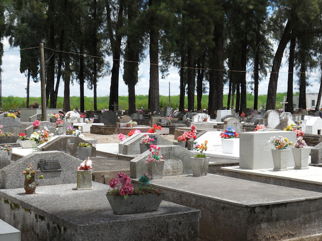 Comentarios y opiniones de Cementerio de San javier