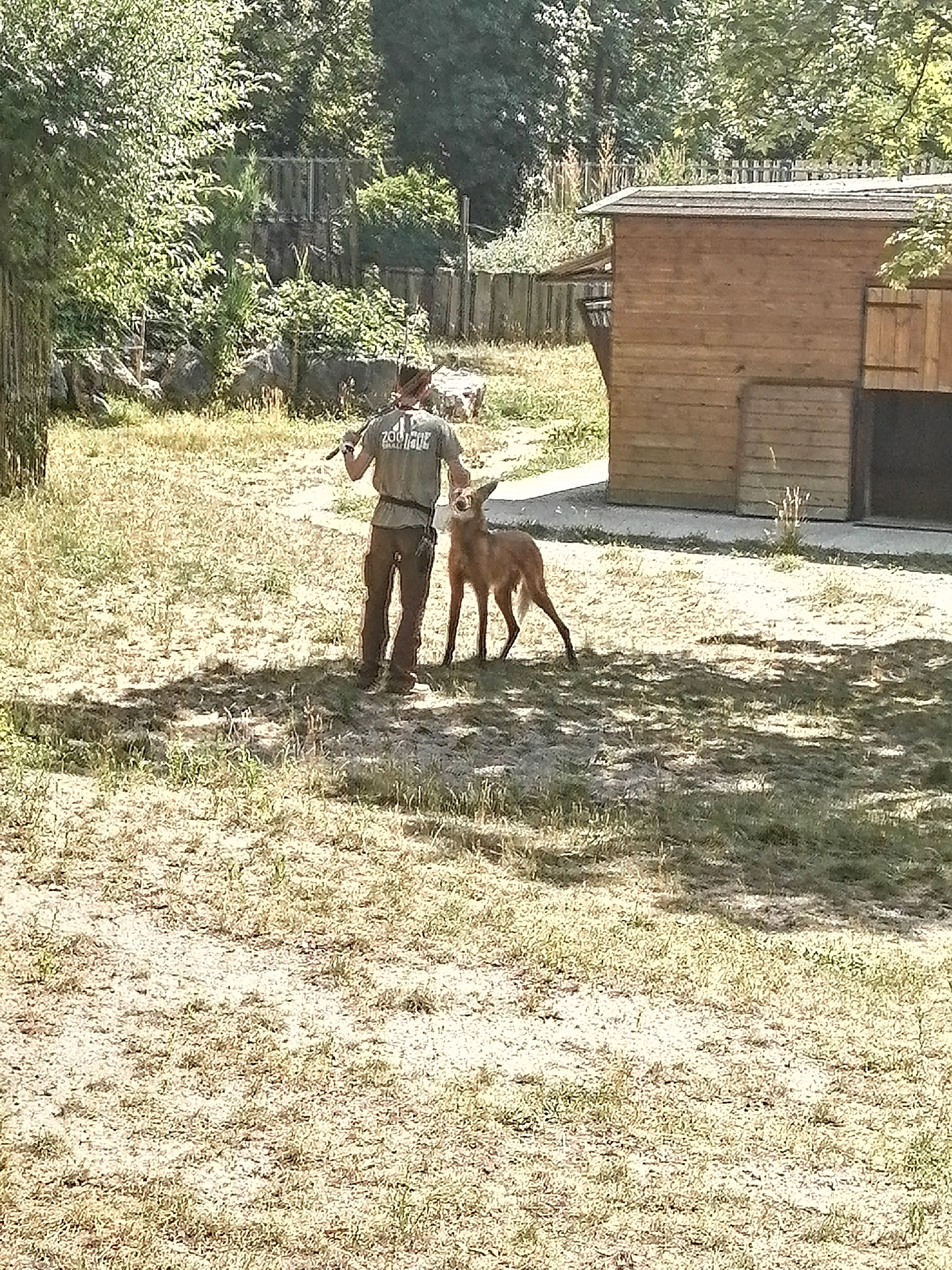 Photo n° 1 de l'avis de Emma.� fait le 12/07/2022 à 06:34