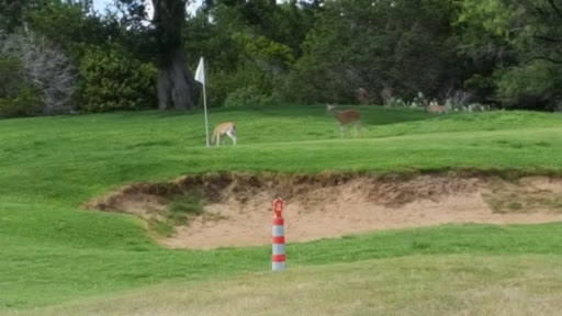 Golf Course «Highland Lakes Golf Course», reviews and photos, 20552 Highland Lake Dr, Lago Vista, TX 78645, USA