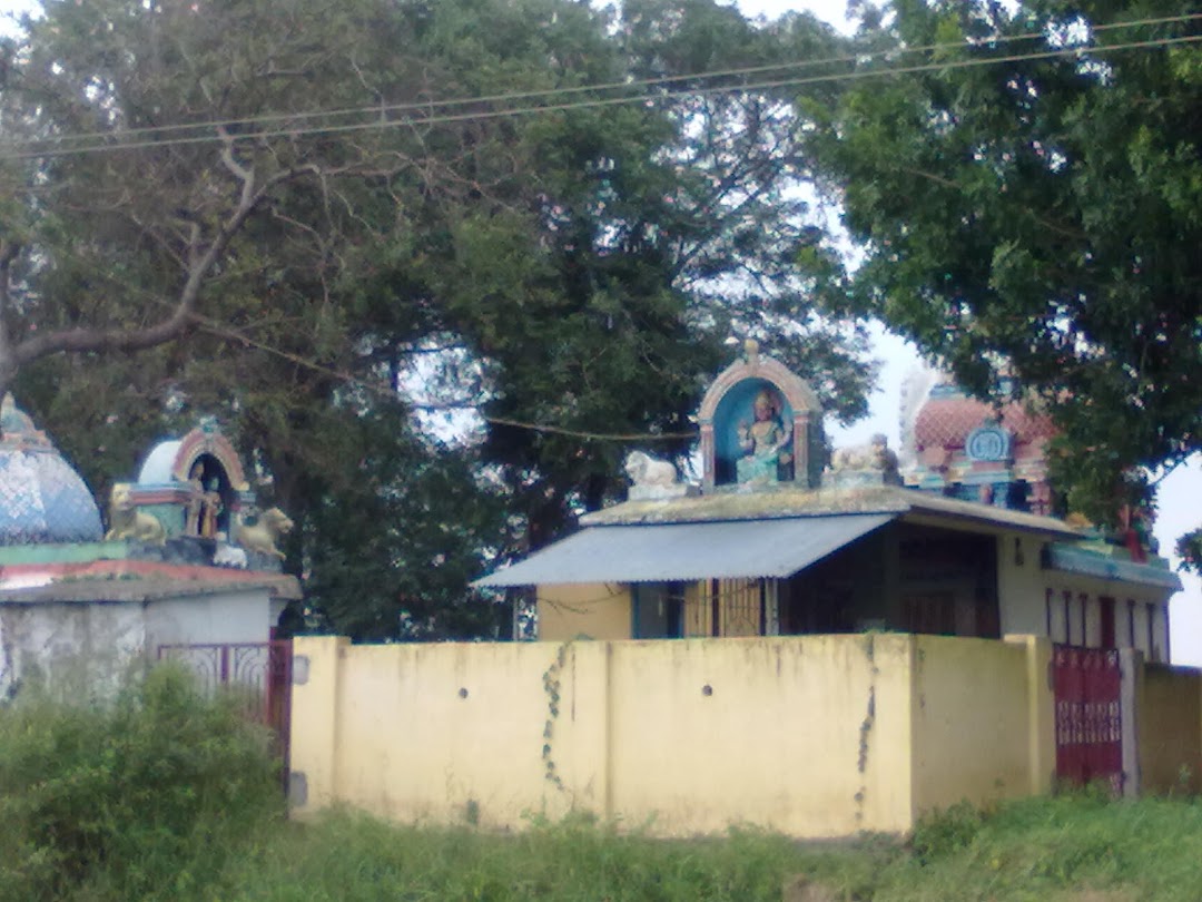 அரவம் காத்த அம்மன் கோயில்