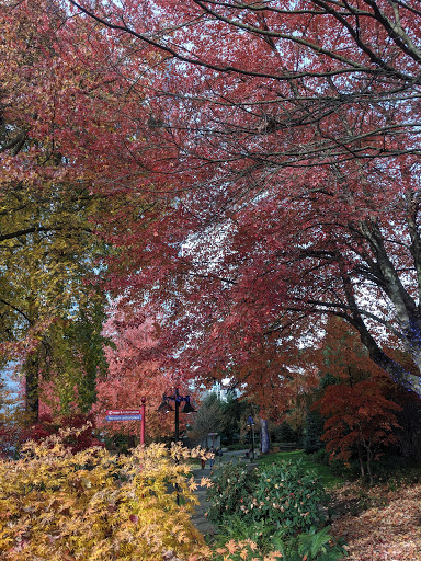 Park «Freeway Park - Jim Ellis Freeway Park», reviews and photos, 700 Seneca St, Seattle, WA 98101, USA