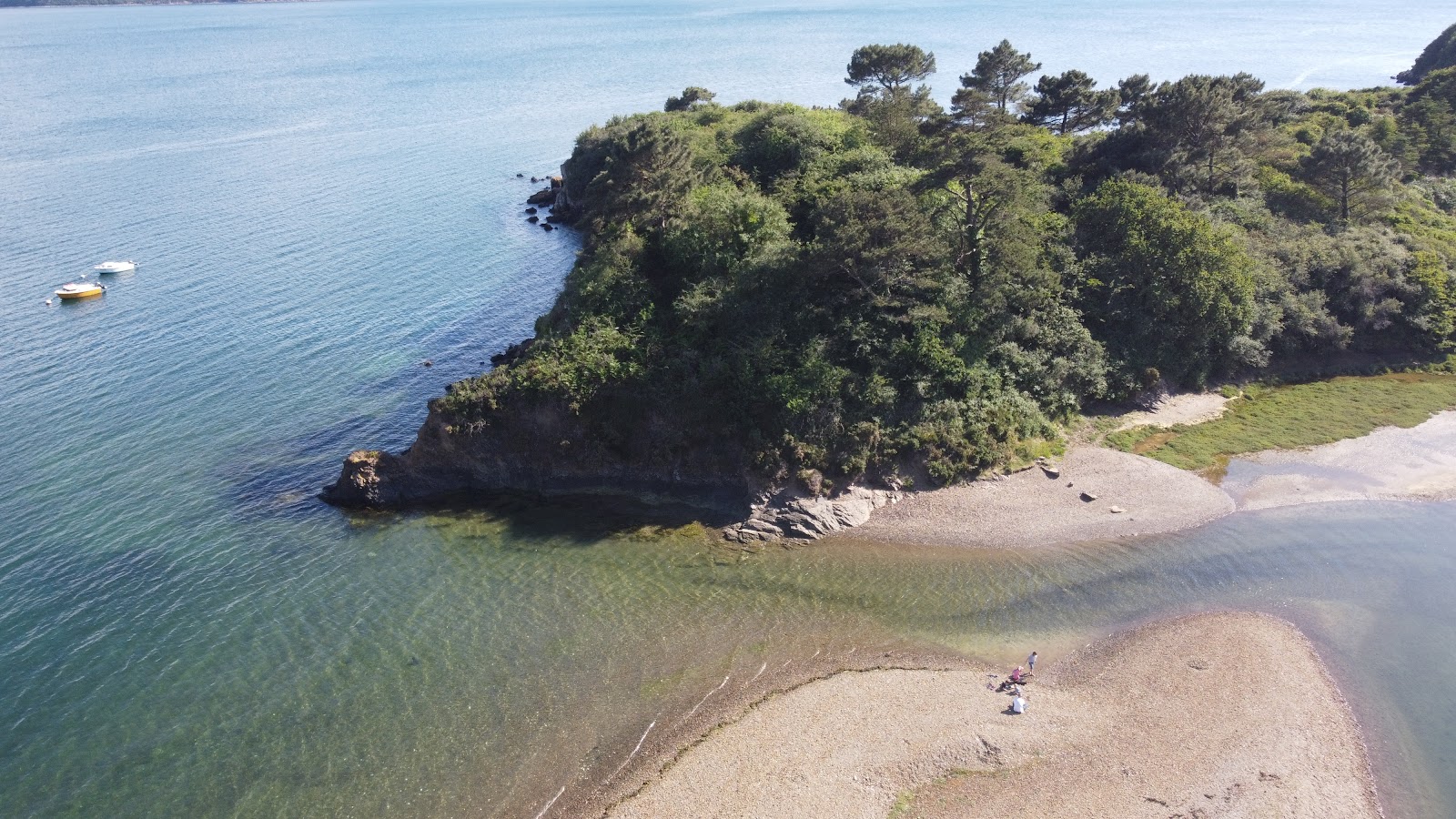 Photo de Bindy Beach avec un niveau de propreté de très propre