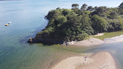 Photo de Bindy Beach avec un niveau de propreté de très propre