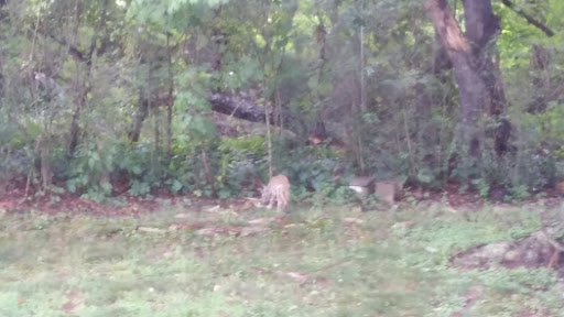 Golf Club «Alling Memorial Golf Course», reviews and photos, 35 Eastern St, New Haven, CT 06513, USA