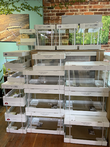 Tropical Fish Store «Aquarium Zen», reviews and photos, 920 NE 64th St, Seattle, WA 98115, USA