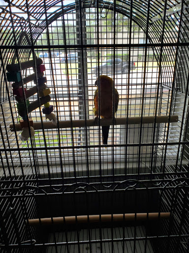 Pet Store «Oasis Tropicals», reviews and photos, 507 Commerce St, Pleasanton, TX 78064, USA