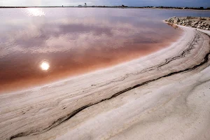 Saline Margherita di Savoia image