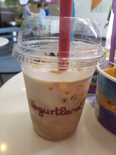 Frozen Yogurt Shop «Yogurtland», reviews and photos, 4170 Lavon Dr #176, Garland, TX 75040, USA