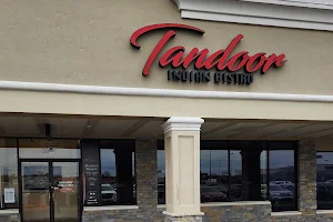 Tandoor Indian Bistro image