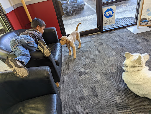 Auto Repair Shop «Zahntech Import Automotive», reviews and photos, 15215 NE 90th St, Redmond, WA 98052, USA