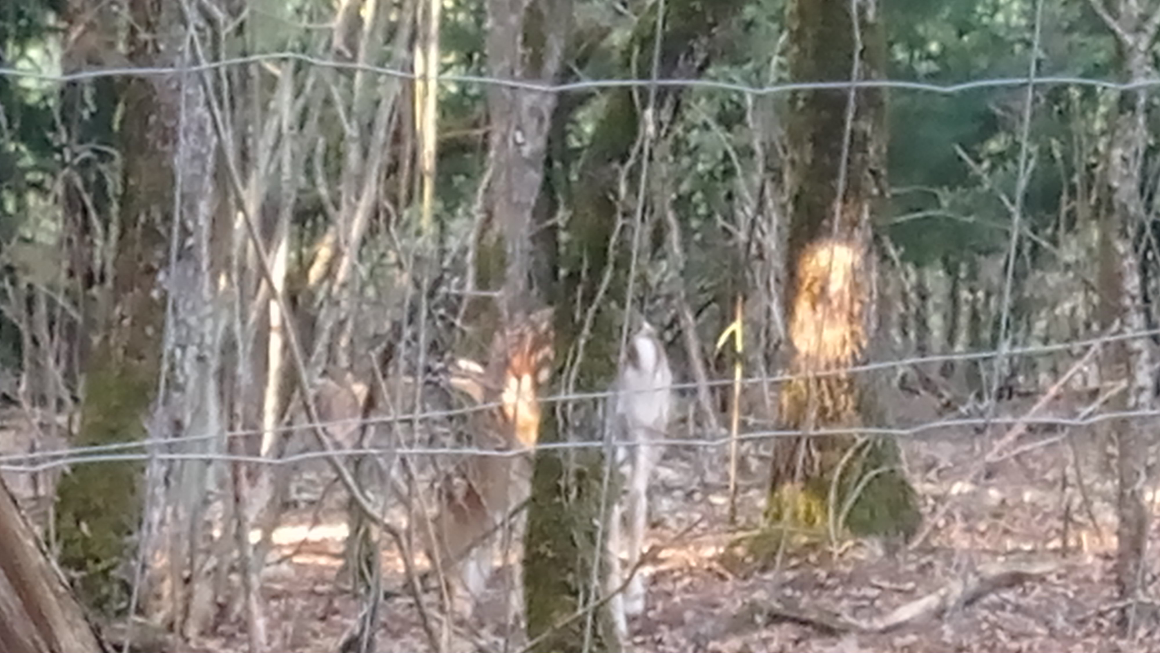 Photo n° 6 de l'avis de alain.o fait le 23/08/2022 à 08:56