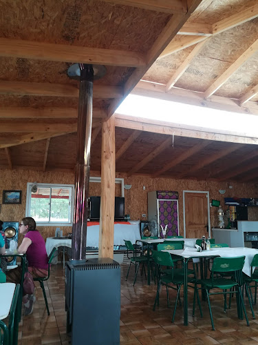 Opiniones de COMIDA EL PICAPIEDRAS en Colbún - Restaurante