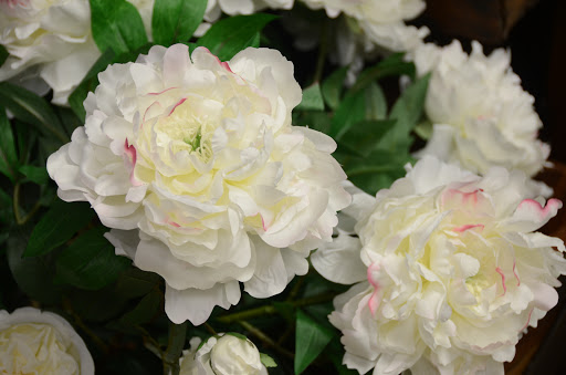 Florist «The Empty Vase», reviews and photos, 1105 E 52nd St, Indianapolis, IN 46205, USA