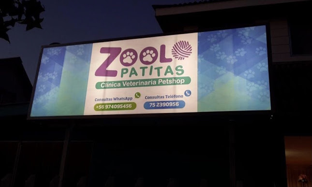 Opiniones de Zoolopatitas en Curicó - Veterinario
