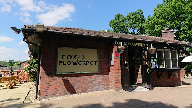 The Fox & Flowerpot