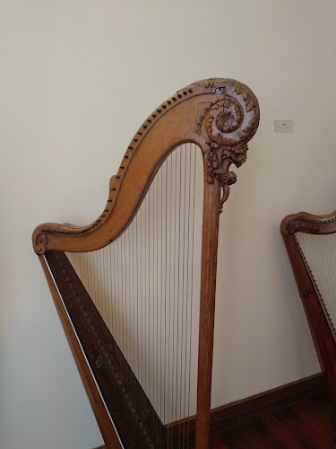 Museo Nazionale degli Strumenti Musicali - Museo