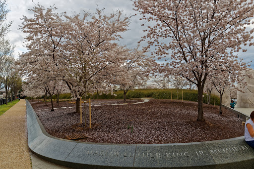 Memorial Park «Martin Luther King, Jr. Memorial», reviews and photos, 1964 Independence Ave SW, Washington, DC 20024, USA