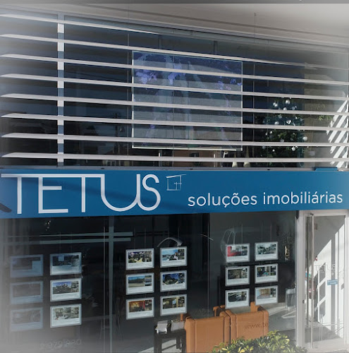 Tetus - Soluções Imobiliárias