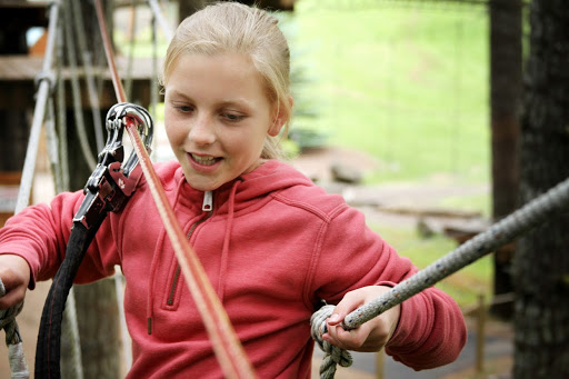 Tourist Attraction «Tree to Tree Adventure Park», reviews and photos, 2975 SW Nelson Rd, Gaston, OR 97119, USA