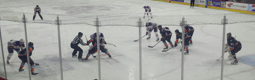 Hockey Club «Bakersfield Condors Pro Hockey», reviews and photos