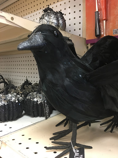 Fabric Store «Jo-Ann Fabrics and Crafts», reviews and photos, 5705 Sunrise Hwy, Holbrook, NY 11741, USA