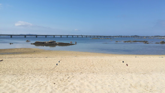 Terron beach