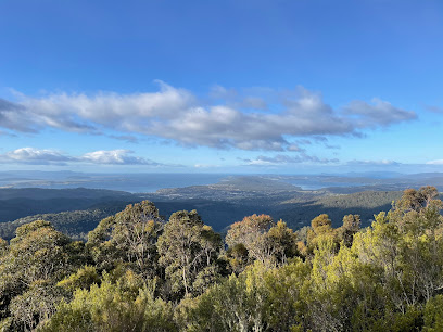 The Springs Lookout