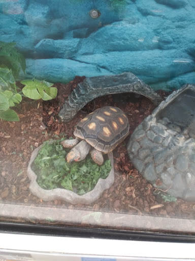 Pet Supply Store «Petco Animal Supplies», reviews and photos, 8700 Preston Rd #105, Plano, TX 75024, USA