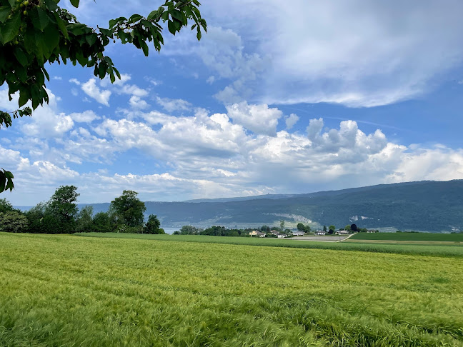 Lindenhof - Campingplatz