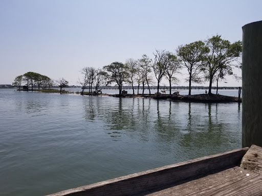 Park «Morse Park Landing», reviews and photos, 4939 US-17 BUS, Murrells Inlet, SC 29576, USA