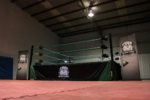 Pro Wrestling Academy image