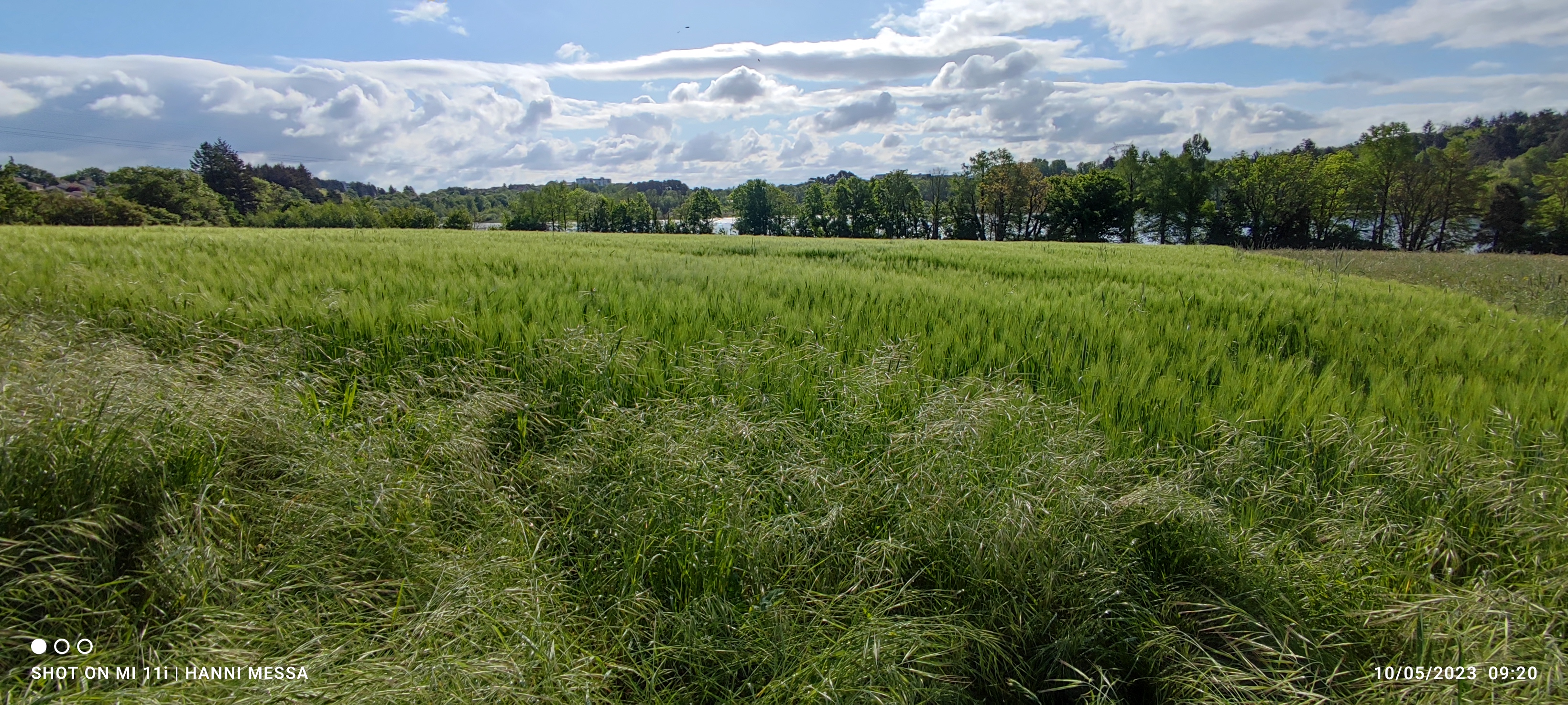 Photo n° 5 de l'avis de Michel.A fait le 10/05/2023 à 13:23