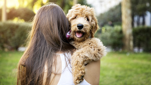 737 W Oak Ridge Rd, Orlando, FL 32809, USA